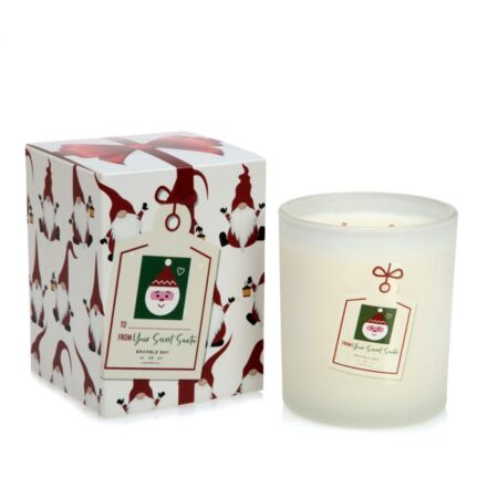 Secret Santa Christmas Candle 300g Reindeer