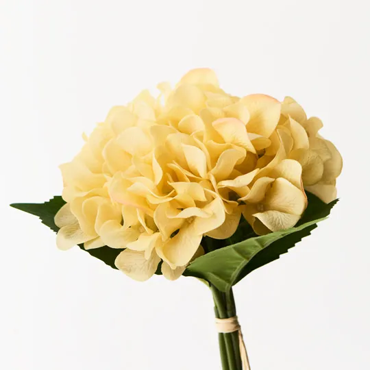 Hydrangea Bouquet yellow