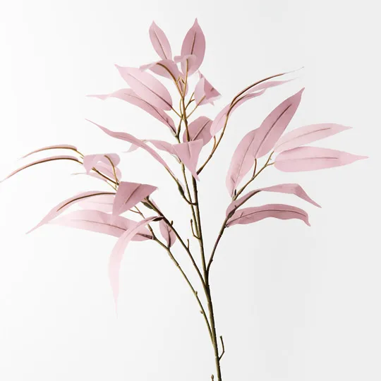 Eucalyptus Long Leaf Spray