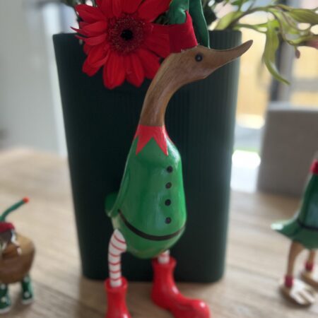 Elf Duck Large