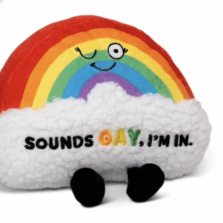 Sounds Gay” – Rainbow Plush